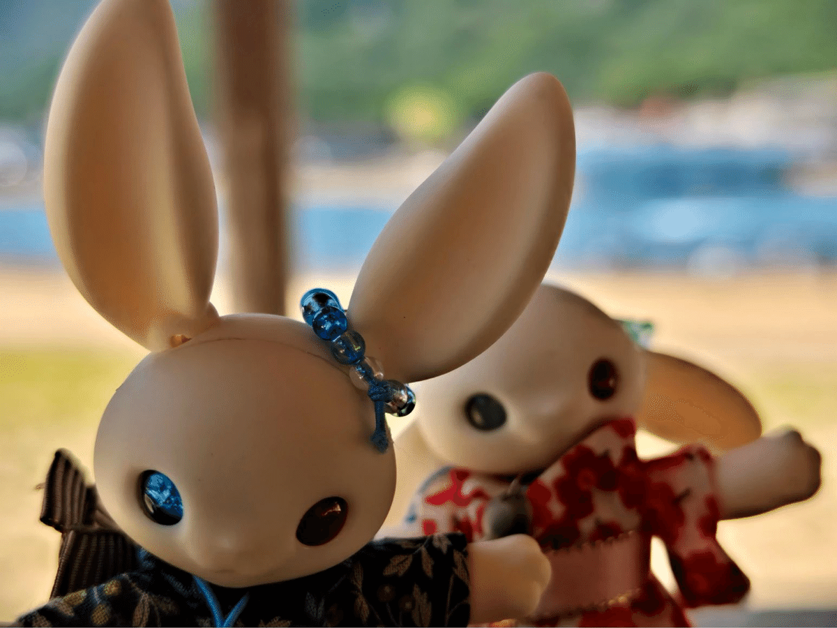 旅うさぎin錦向井ヶ浜・トロピカルガーデン。｜_