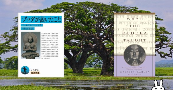 サブカル大蔵経324山口瑞鳳『評説インド仏教哲学史』(岩波書店