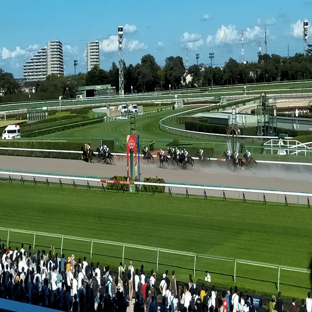 競馬の資金配分必勝法｜リスク分散で勝率を劇的に上げる秘訣｜あんちゃん