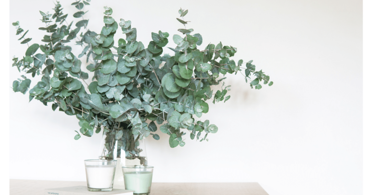 ユーカリポポラスの葉で楽しいバスタイム｜rita