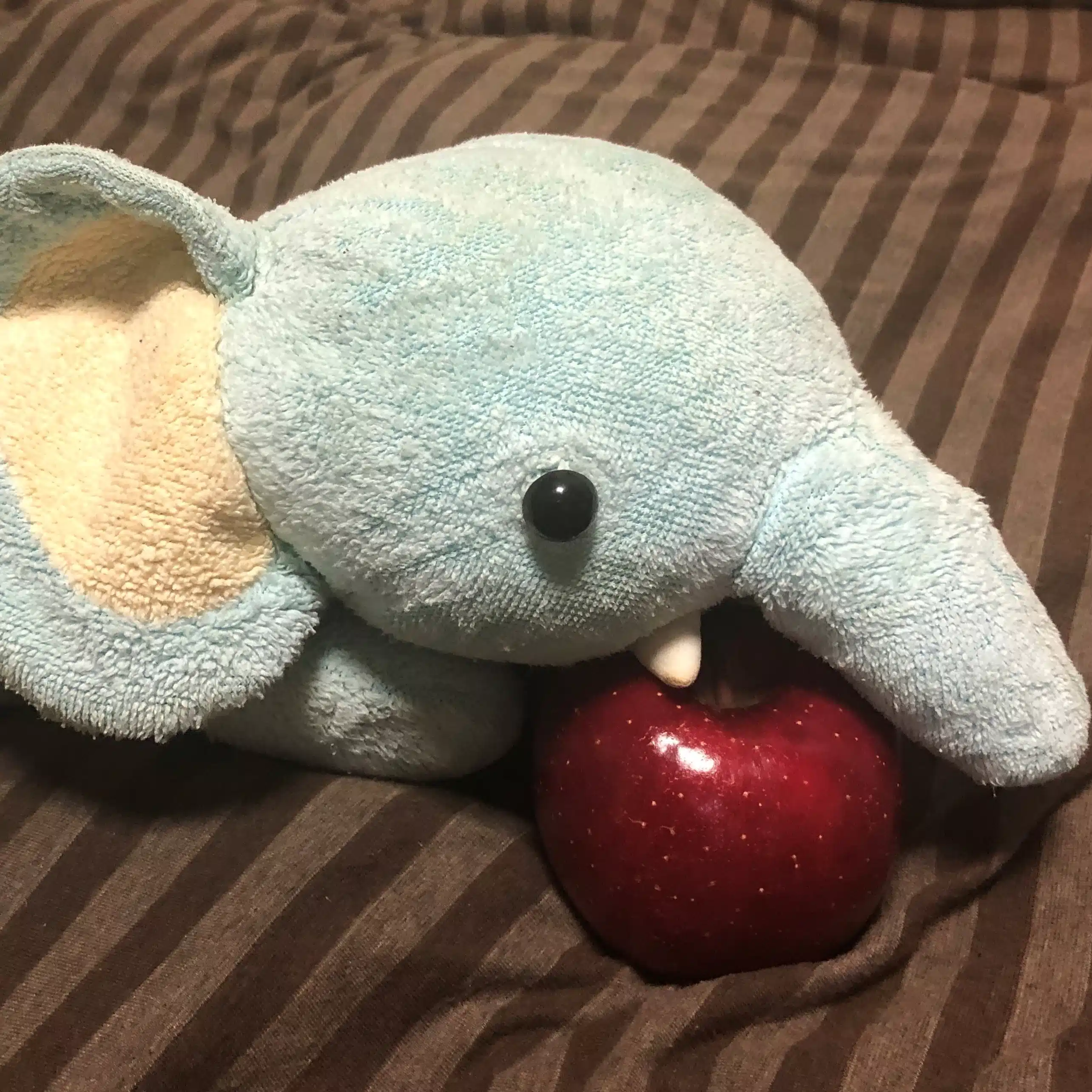 アサタロウ