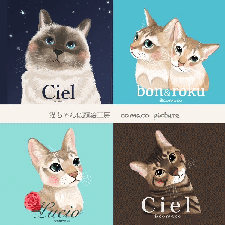👩🏻‍🎨ねこ似顔絵②写真の選び方｜comaco | ねこちゃん似顔絵作家