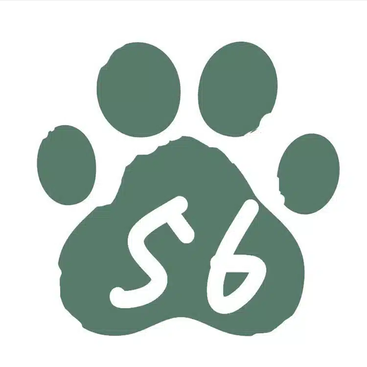 56走走