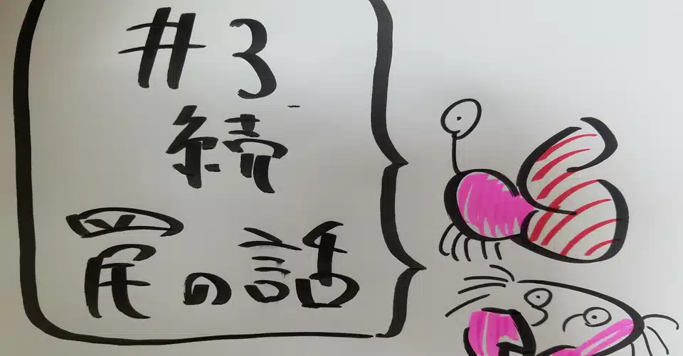 3 自作罠の話 畠山 秀哉 Note