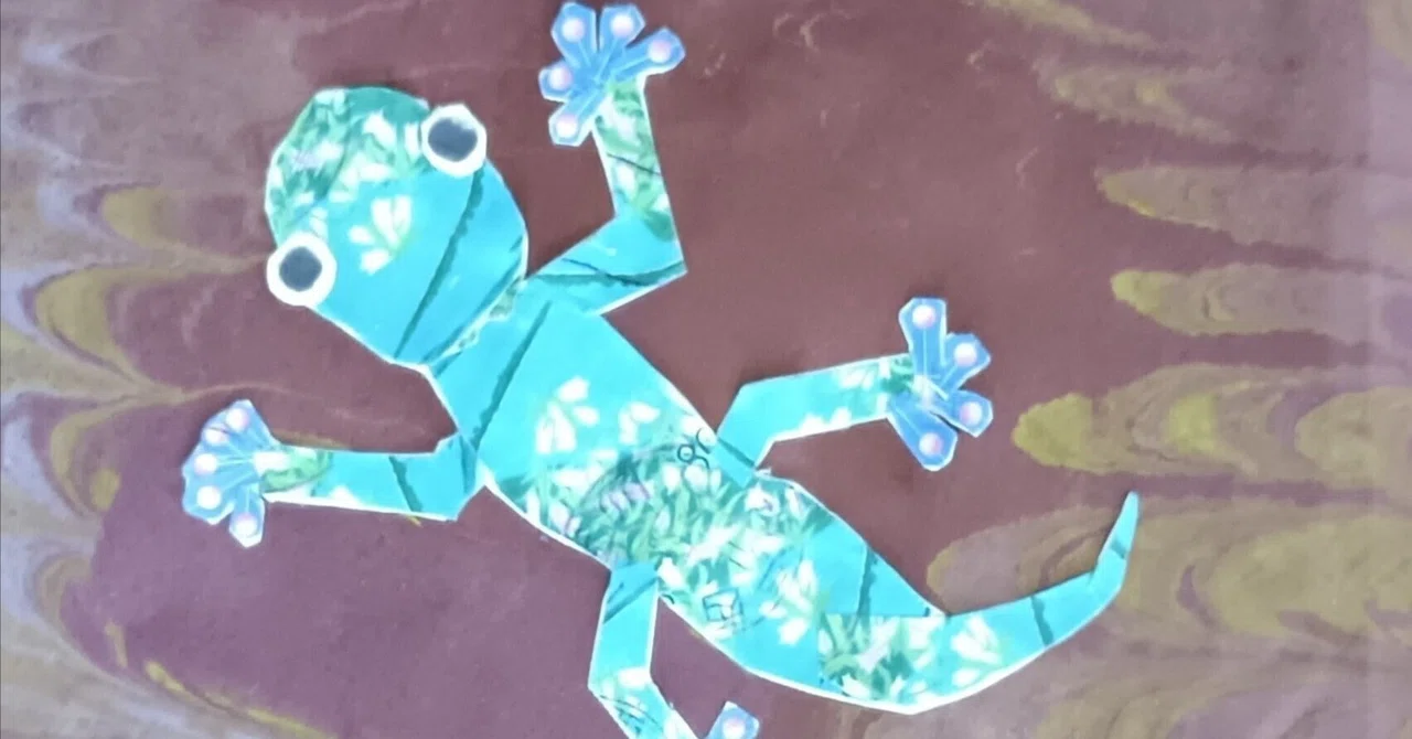 House Gecko｜津田古星