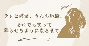 ウチの犬(コテツ)は、これでトイレ上手になりました。 犬の「困った」解決手帳 犬の「困った」解決手帳 ウチの犬は、これでトイレ上手になり