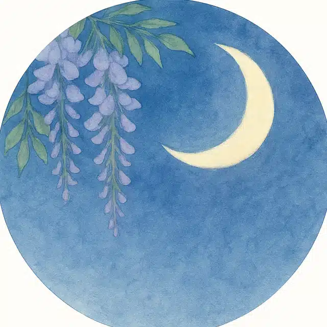 月衣 沙羅（つきのころも さら）