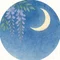 月衣 沙羅(つきのころも さら)