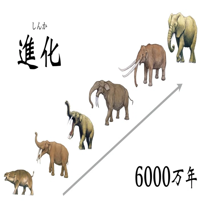 探究学舎オンライン授業 特別編 マイ探究おすすめ教材 探究学舎 Note