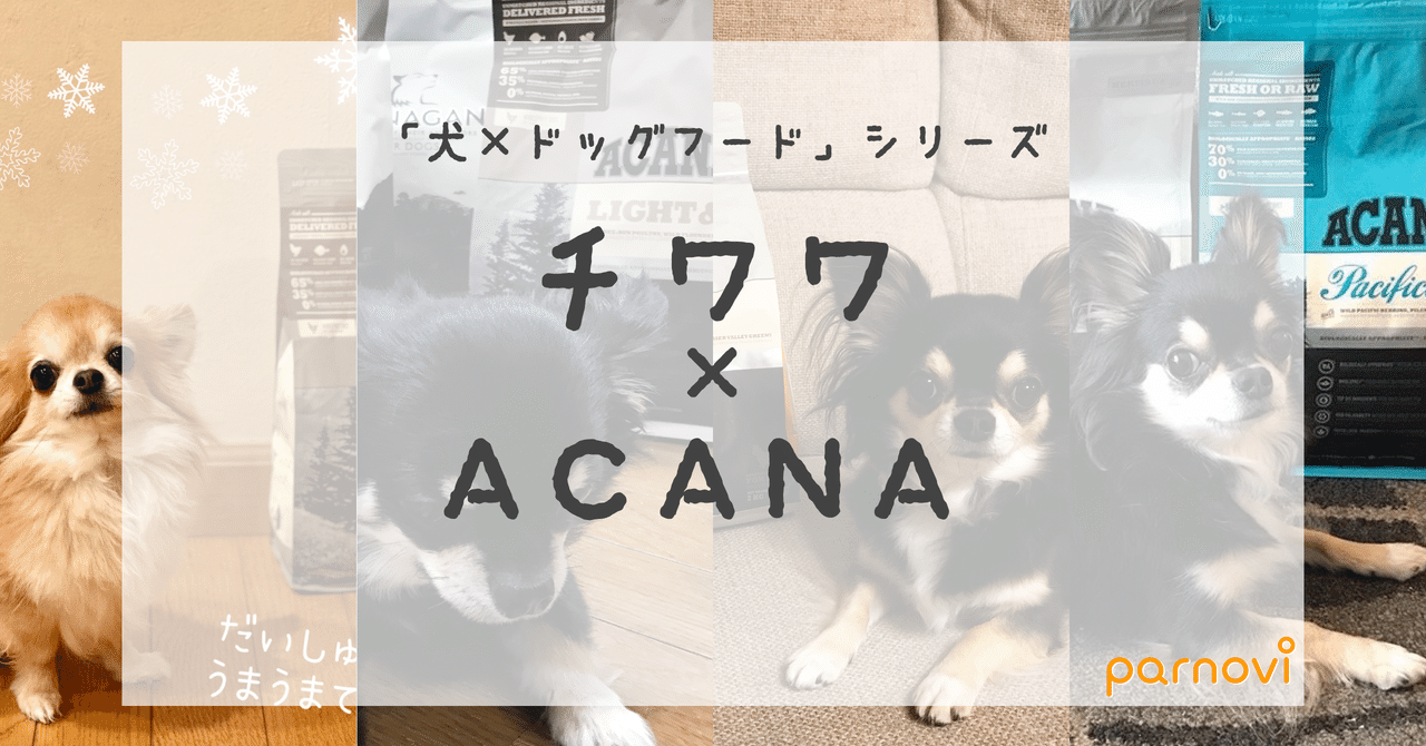 スクリーンショット_2020-03-06_20.45.28