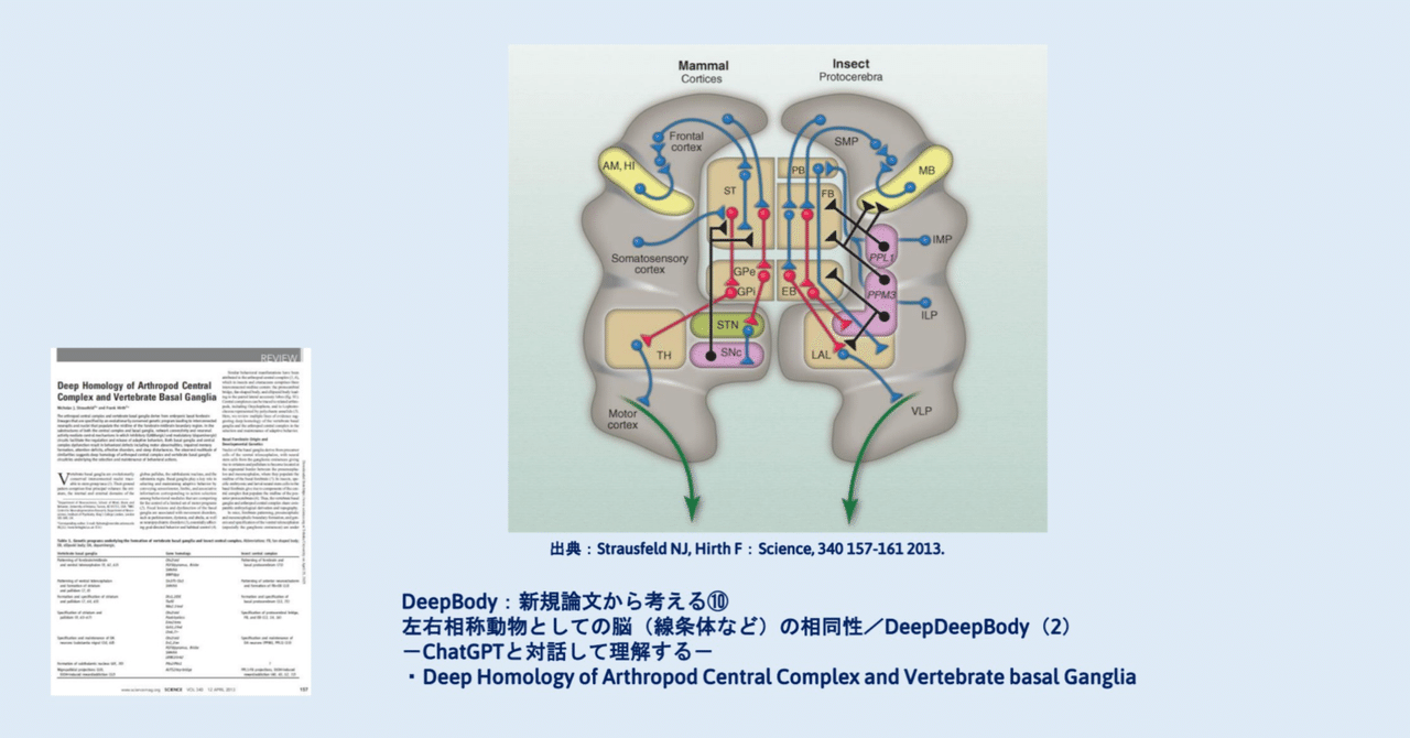 脳の形態と機能 : 画像医学の進歩 循研：CITEC 臨床情報講座 脳血流シンチでわかること（その1）