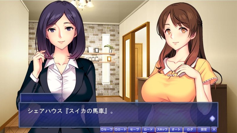 エロゲの珍しい文章ミスを発見したが この面白さを伝えるのが難しいので長文にします にゃるら Note