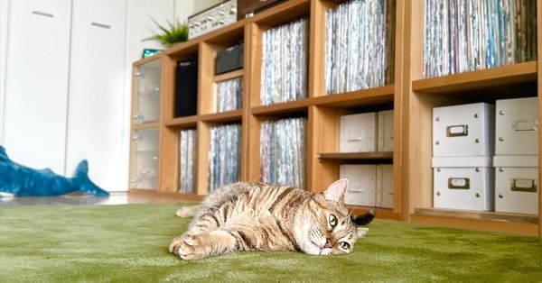 中古】 ロック・ファン便利ブック ロック・ファン優等生への近道 親切  