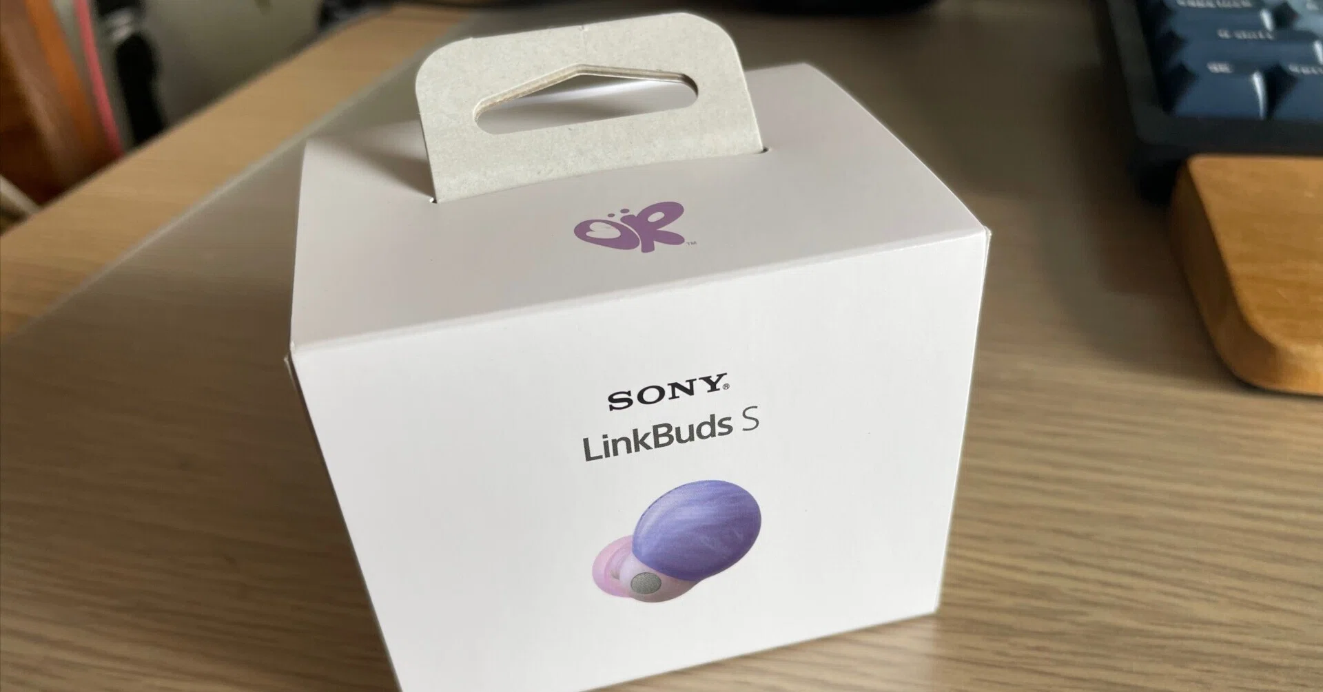 Listening to Audible with SONY LinkBuds S WF-LS900N｜Akio van der Meer