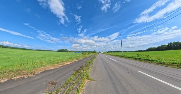 世界で一番わかりやすい航空気象 世界で一番わかりやすい航空気象 : 今までに無かった天気の