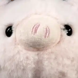 あん