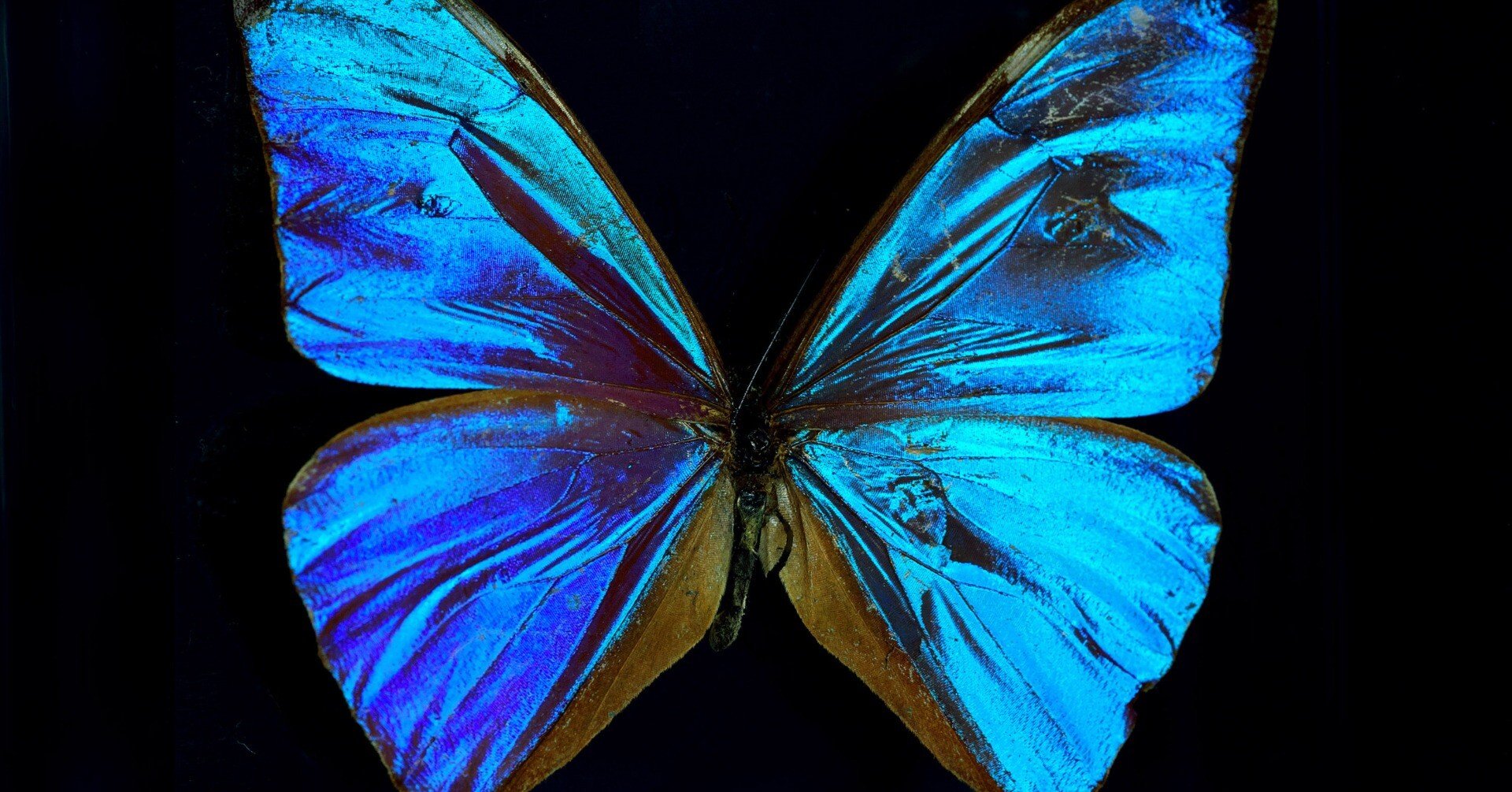 bba08f06a8894472e3edcab66570ca