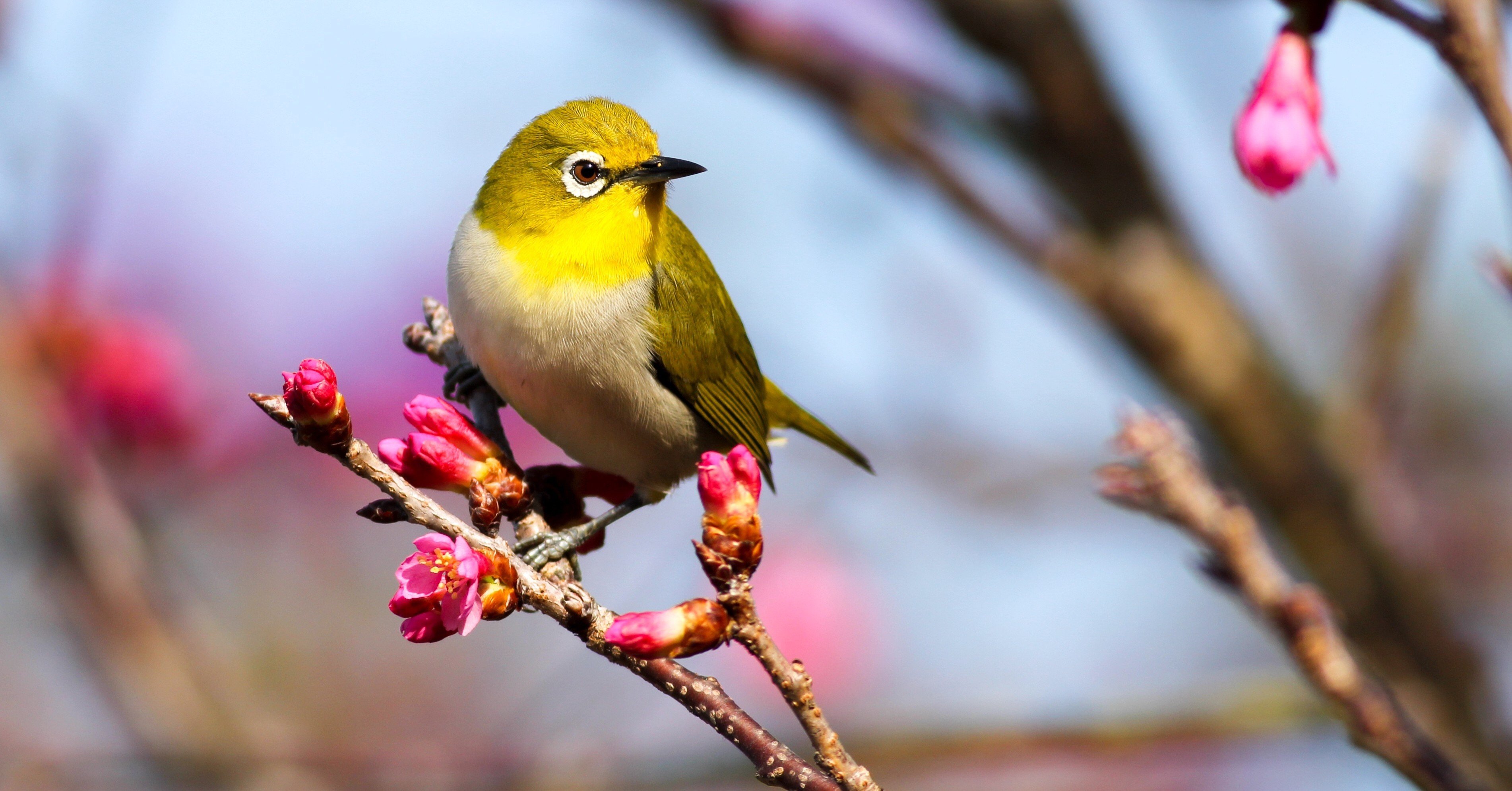 45 ライム踏むだけが韻じゃない Takafumi Ito Note