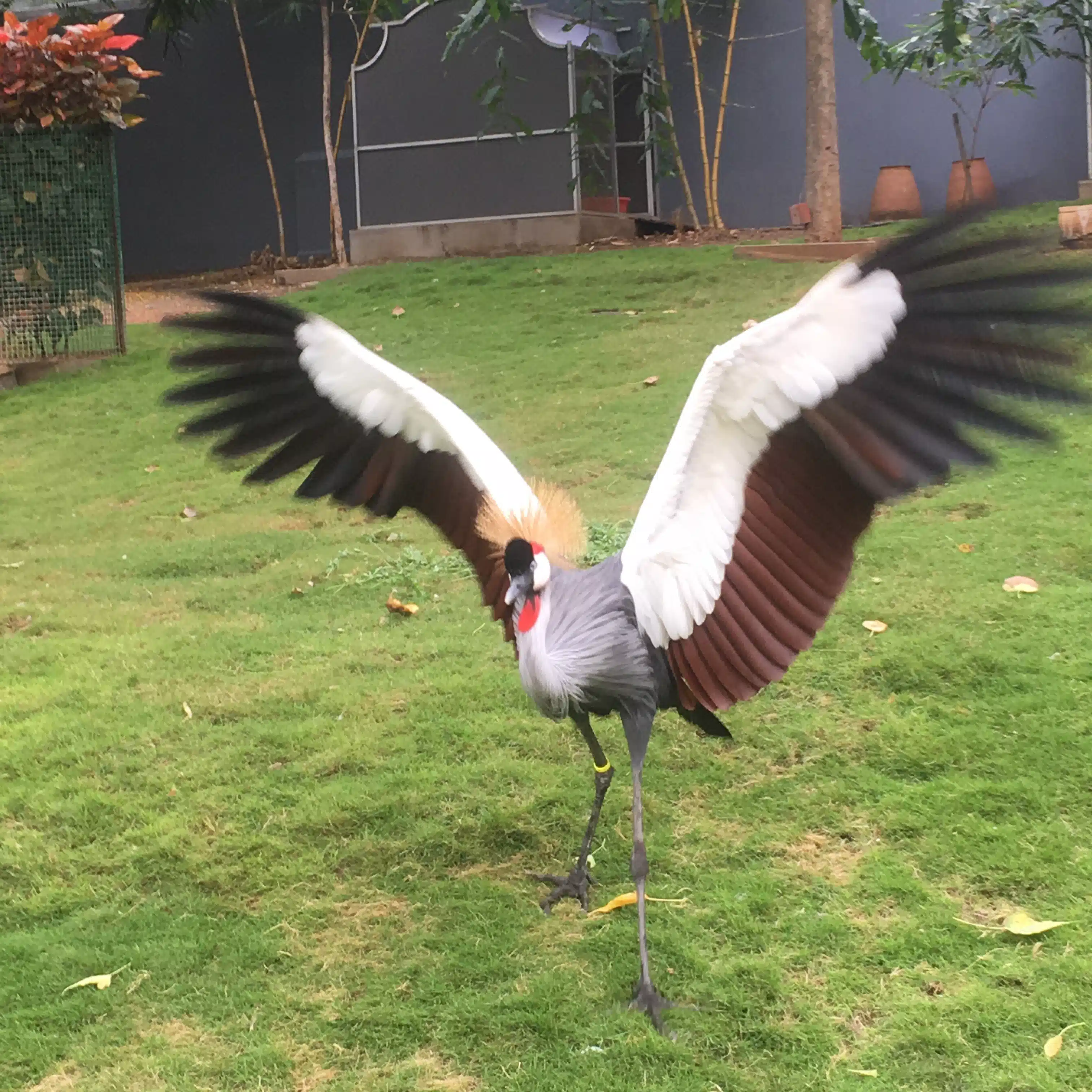 つる・るるる