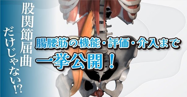 実技映像付】明日から使える仙腸関節の評価とアプローチ―誰もが