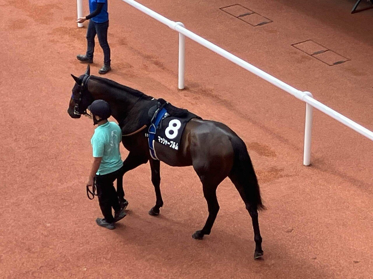 札幌競馬場100年史 札幌競馬場100年史 札幌競馬場100年史 札幌競馬場100年史