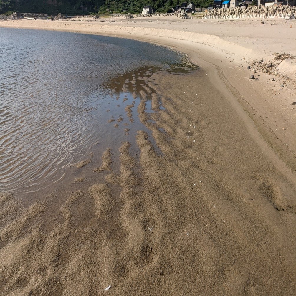 夏休み自由研究】鹿磯海岸でいろいろな模様を観察しよう｜roadexplorer