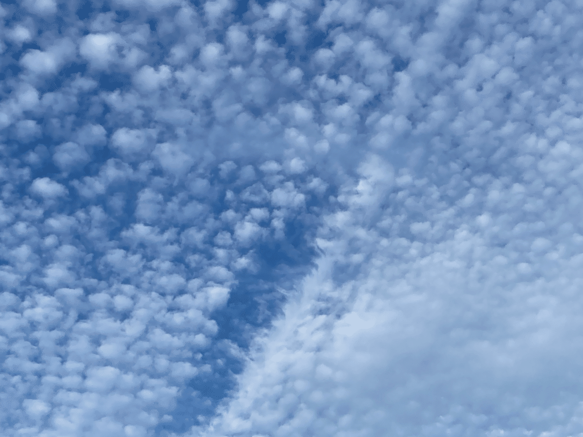 夏の雲 夏の雲｜もりぞー