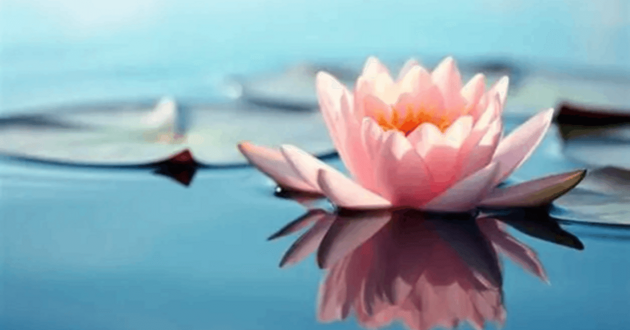 愛花さま専用　大　健康　良縁　金運 Amazon.co.jp: お財布布団 金銀桜花柄 豪華金襴生地仕様 風水 金