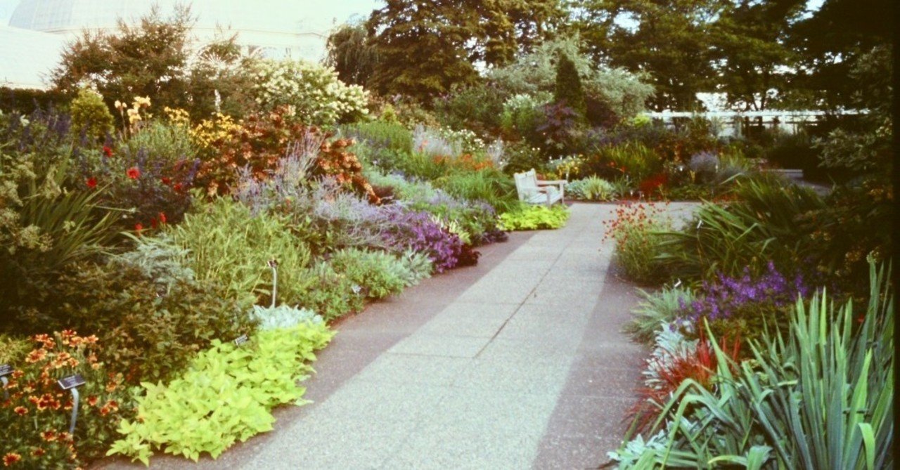 4 ニューヨークのガーデニング 今昔 過去30年を振り返って Yukibean Yuki Bee Note 4 ニューヨークのガーデニング 今昔 過去30年を振り返って Yukibean Yuki Bee Note