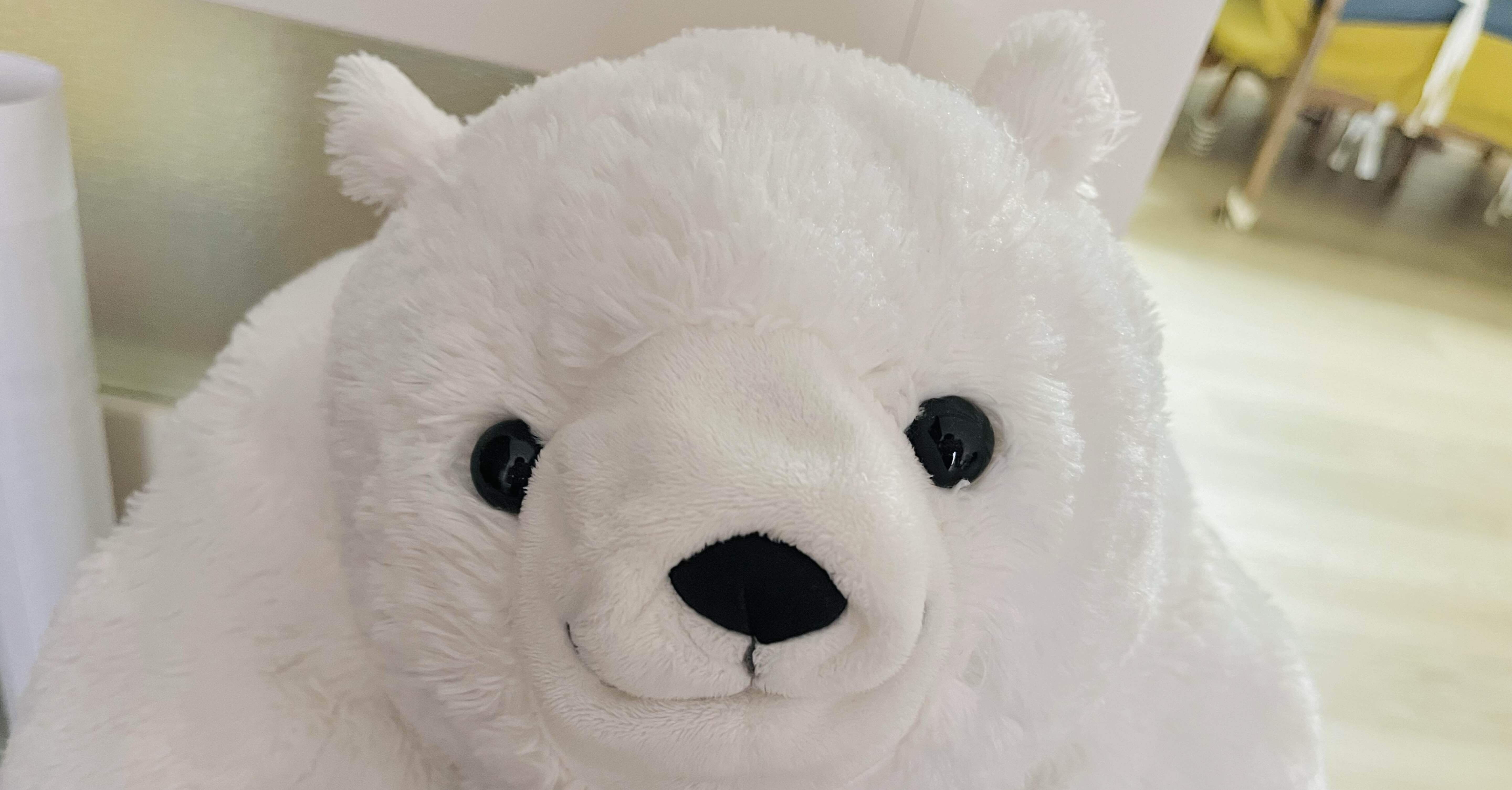 しろくま様ご確認用ページ！ 51EbdNfLVJL._AC_UF894,