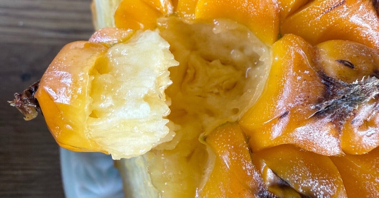 20250723 むしる派。｜前田海香子