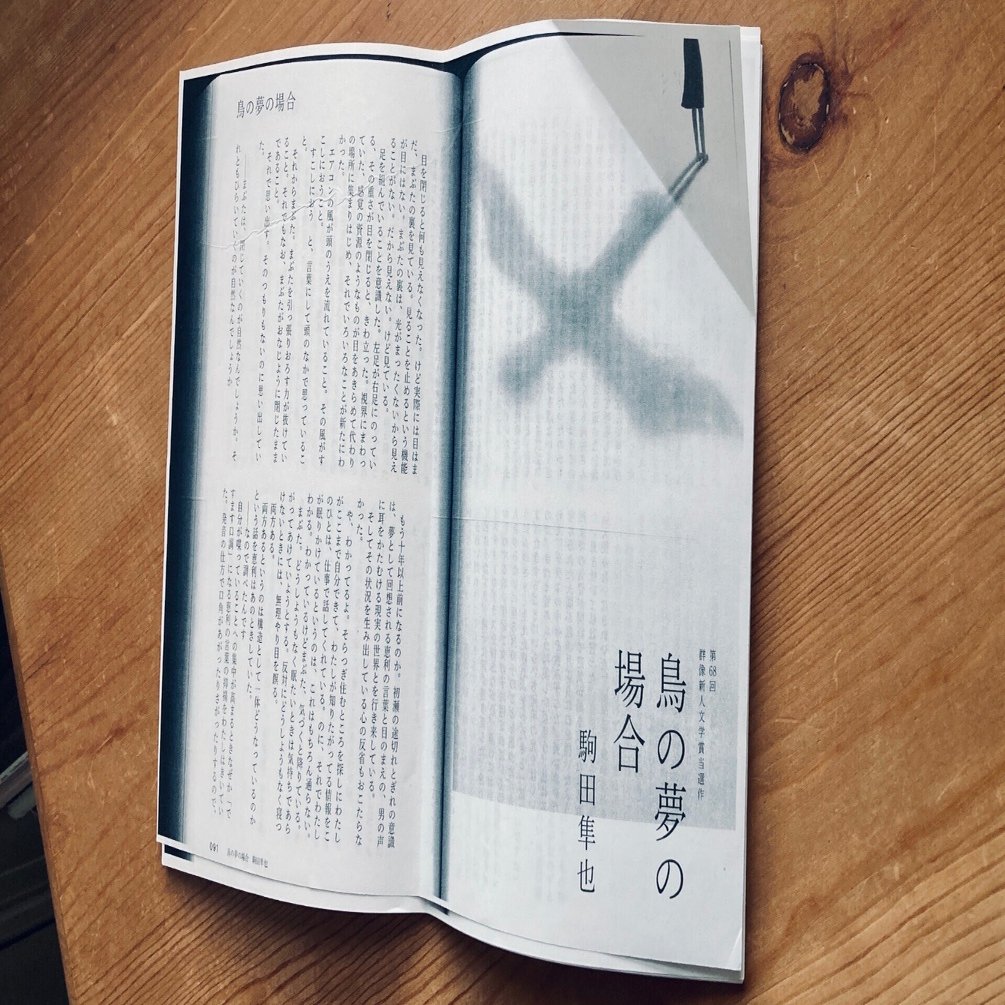 芥川賞が該当作なしだったので『鳥の夢の場合』を全力で推す｜arimayoco