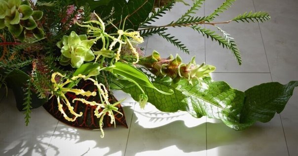 Contemporary Art いけばなアートの現在 花をアートへ | EXHIBITIONS | 東京画廊 + BTAP TOKYO GALLERY +