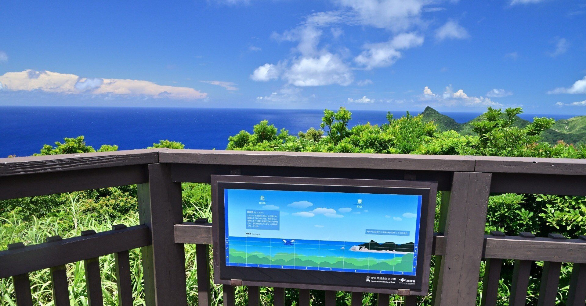 308a72da0a24741b162cd1a785bee1