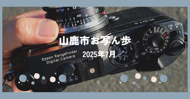 my camera] minolta SR-1｜薄明