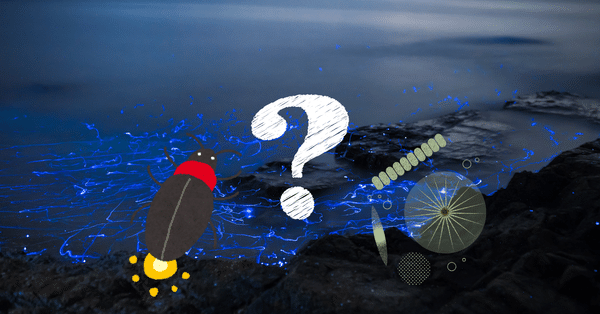 パワーアップ京大化学、DASH化学、京大テストゼミ Microbubble detection and separation by using patterned
