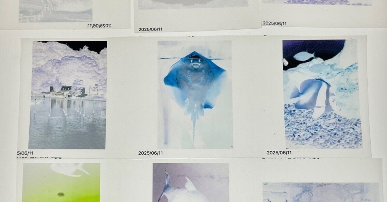 デジタル写真でネガフィルムをつくる｜melky