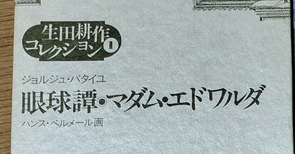 クロード・シモン『ガリバー』訳者解説（text by 芳川泰久）｜幻