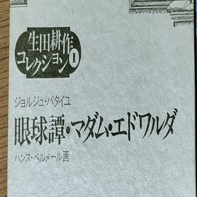 ジョルジュ・バタイユ『眼球譚/マダム・エドワルダ』生田耕作 訳