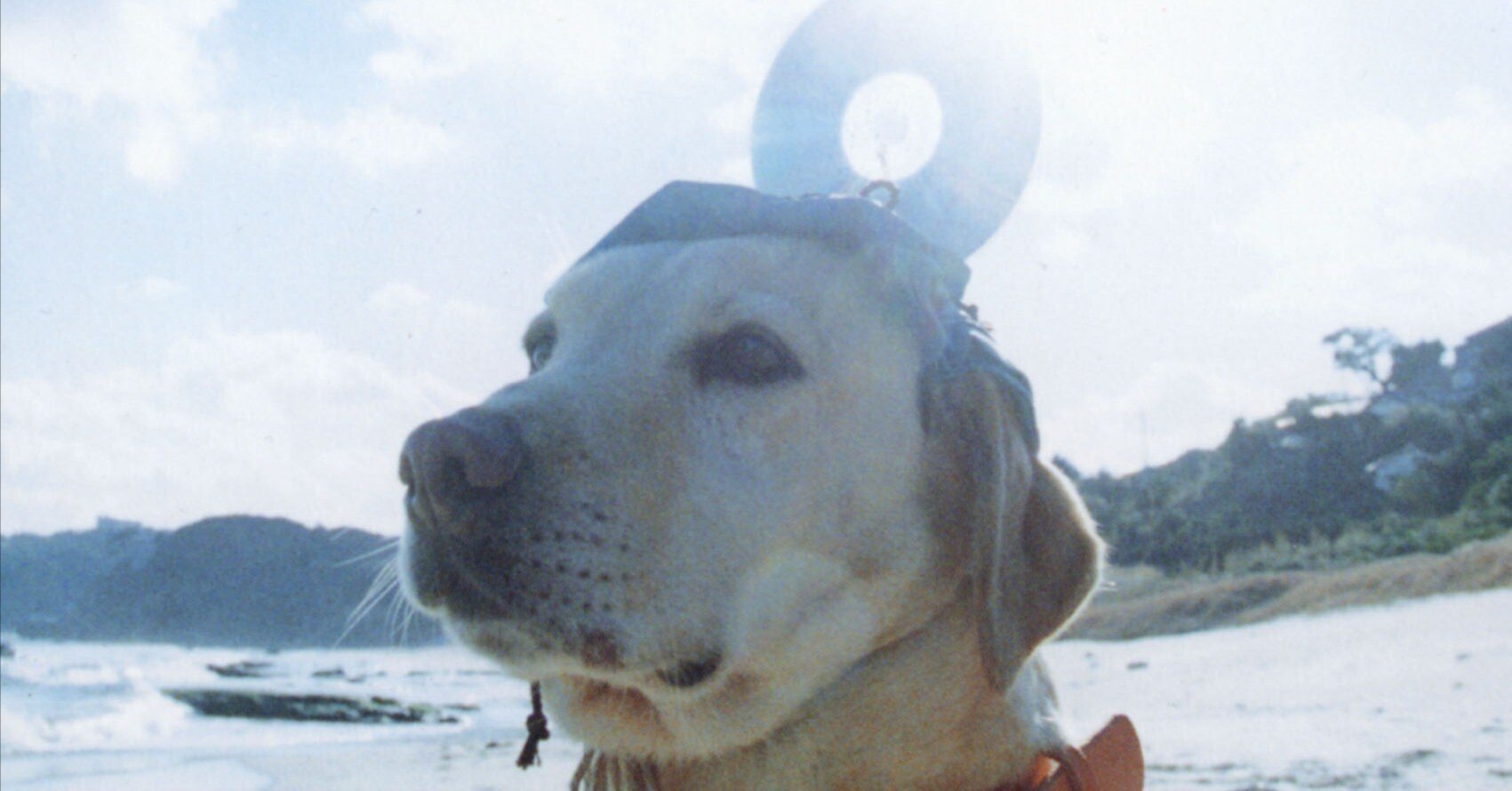 RADWIMPS 3〜無人島に持っていき忘れた一枚〜／RADWIMPS｜Okada Toshihiro