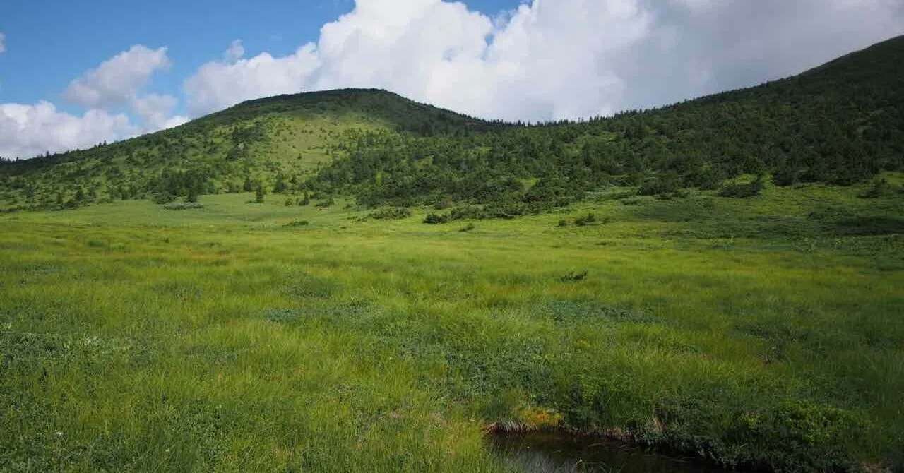 July 21, 2025: Mount Higashi-Azuma - Walking through a heavenly 