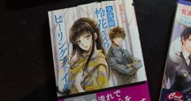 タフシリーズ｜岩本薫