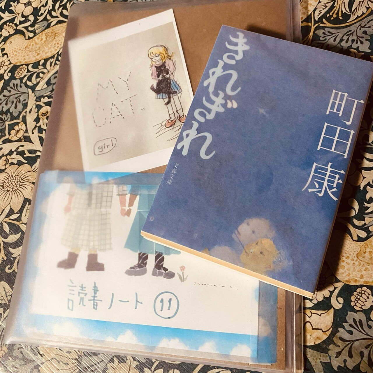 きれぎれ/町田康｜菜穂☽︎‪︎.*·̩͙‬