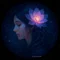 RIA Bloom