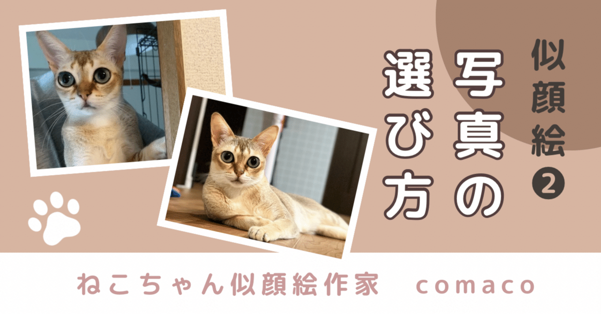 ★猫ちゃん似顔絵★かわいい我が子を似顔絵に 猫の日 🐱 なになに？って覗き込むような視線が可愛い