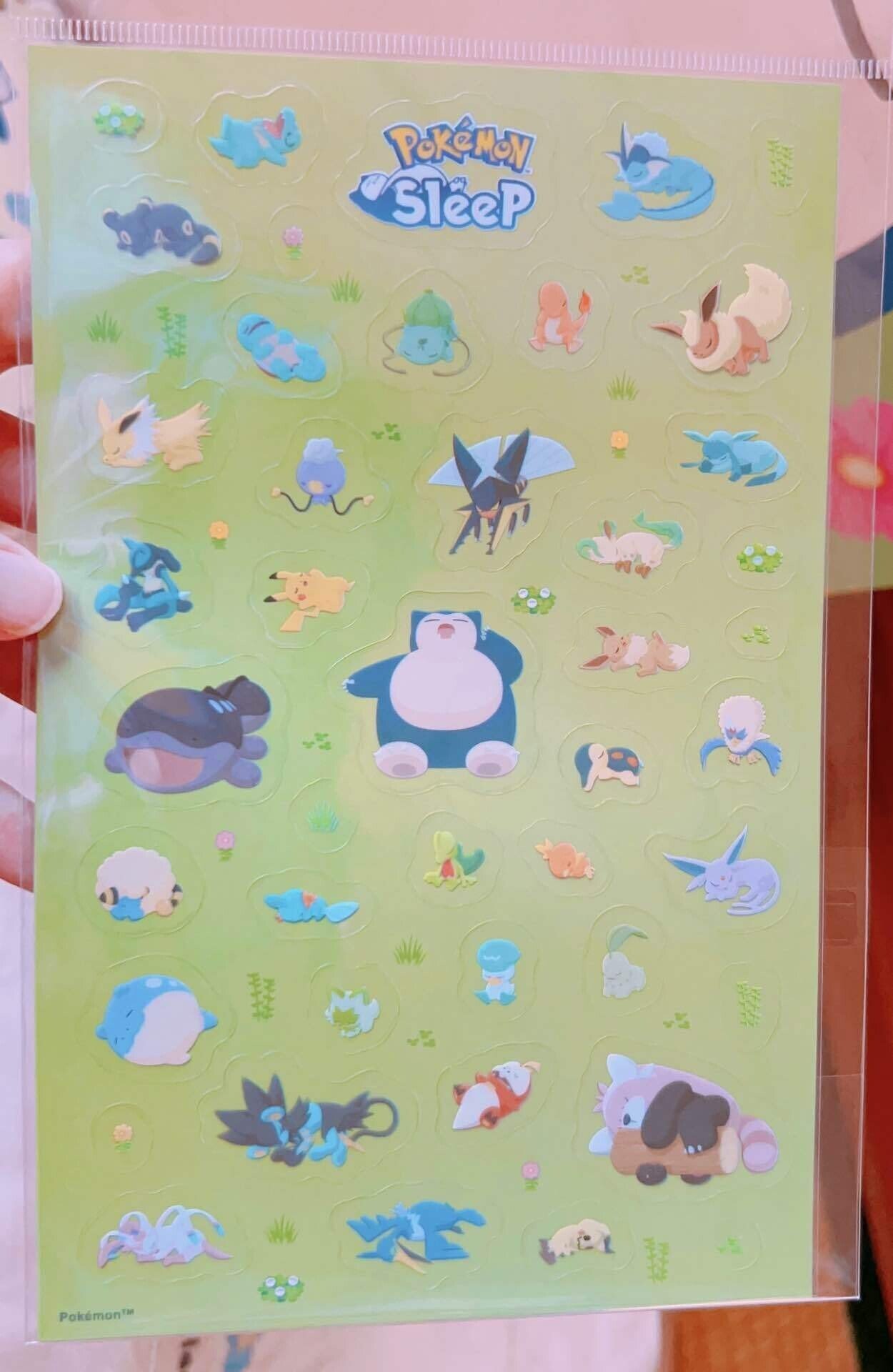 ポケモンスリープ　渋谷　限定　クリアファイル　ゴースト旧発電所　ラピスラズリ湖畔 ポケモンスリープ 渋谷 限定 クリアファイル ゴースト旧発電所