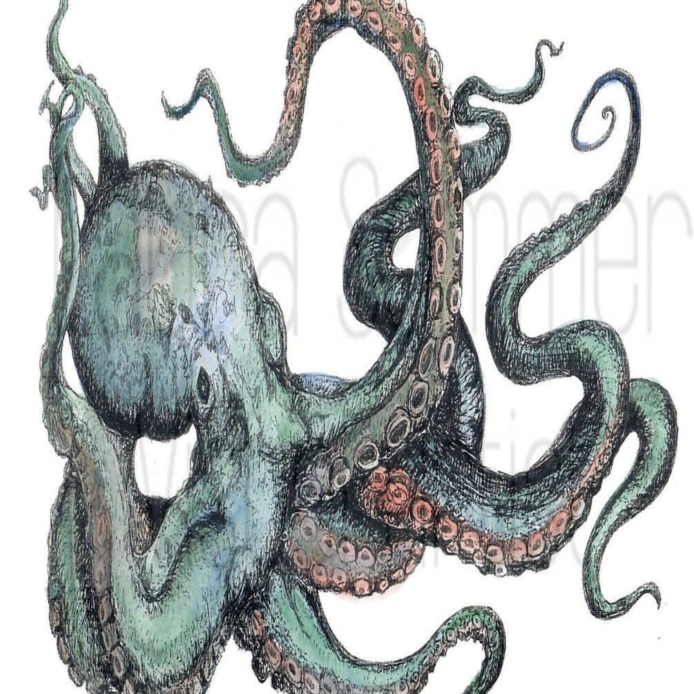 たこoctopus｜Yutaka