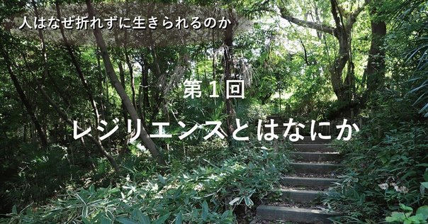 アイデンティティ生涯発達論の展開 アイデンティティ生涯発達論の展開 | 岡本 祐子 |本 | 通販 | Amazon