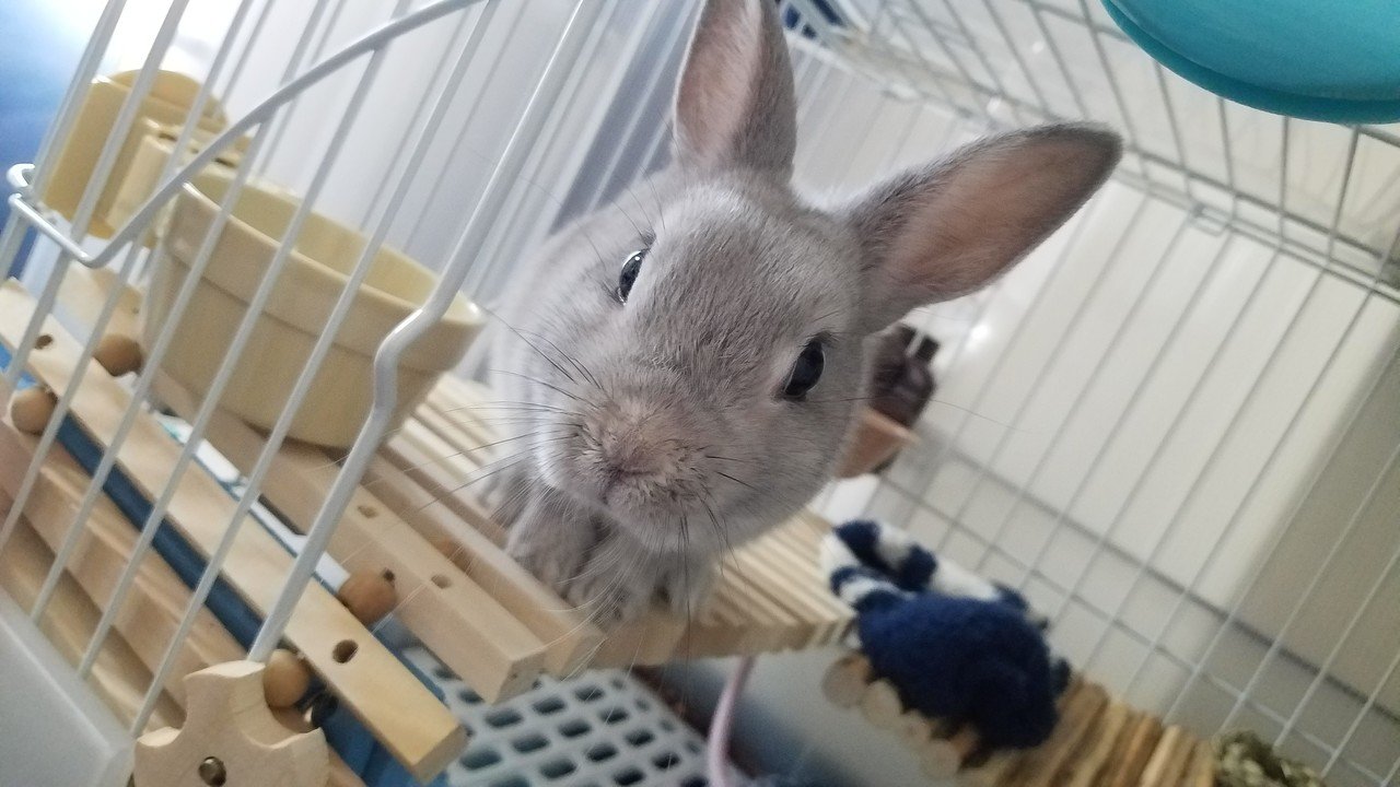 おはようございます そうそう 初めて買ったpspのゲームはギレンの野望でした ちなみにガンダムは全然知らなくて シミュレーションというシステムも理解できず なぜこれを選んだのか わかりません笑 完全にと 雑憶 Note