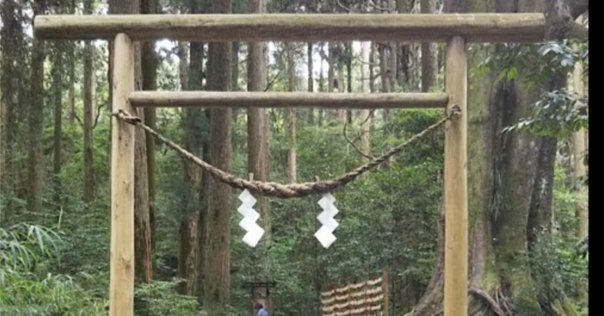 日めくり】cis語録 230億トレーダーの勝つ至言｜福地誠